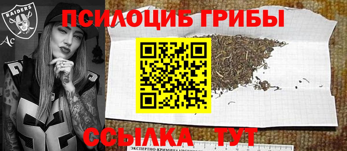 Брянск  Псилоцибиновые грибы GOLDEN TEACHER  Вход с VPN 