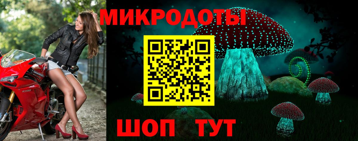 Псилоцибиновые грибы мухоморы Брянск